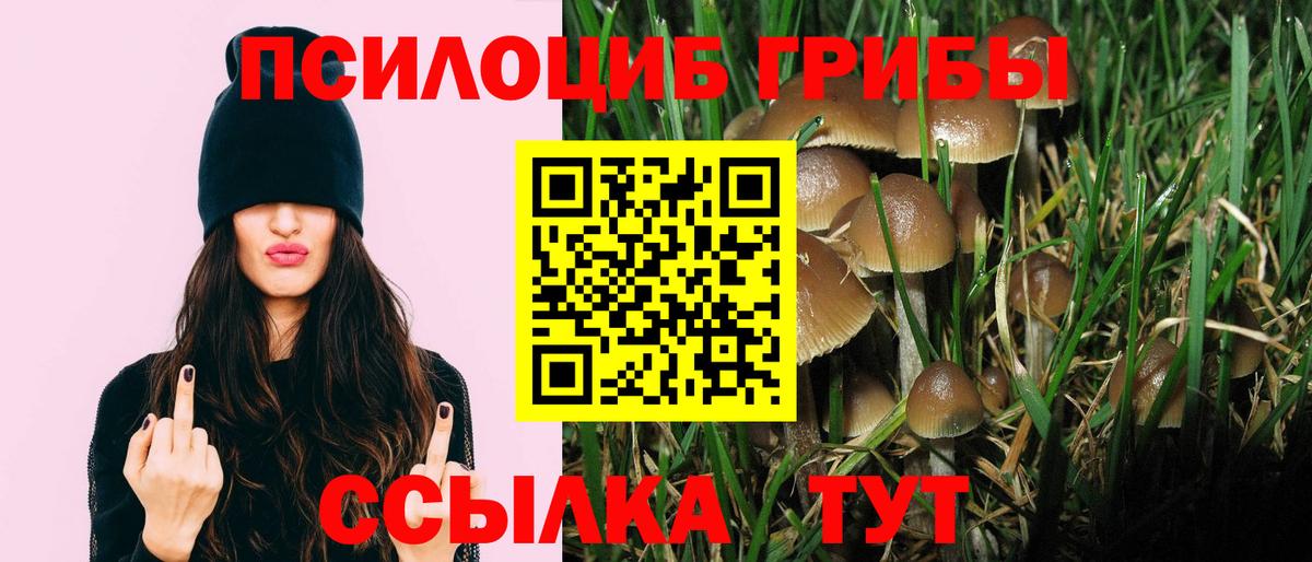 Галлюциногенные грибы Magic Shrooms  купить наркотики сайты  Вход с VPN  Всеволожск  Псилоцибиновые грибы мицелий 