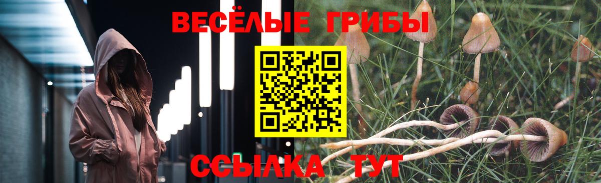 Псилоцибиновые грибы прущие грибы Всеволожск